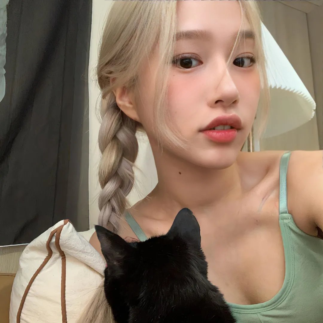 聪明的鸭子