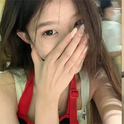 夏绿蒂的网